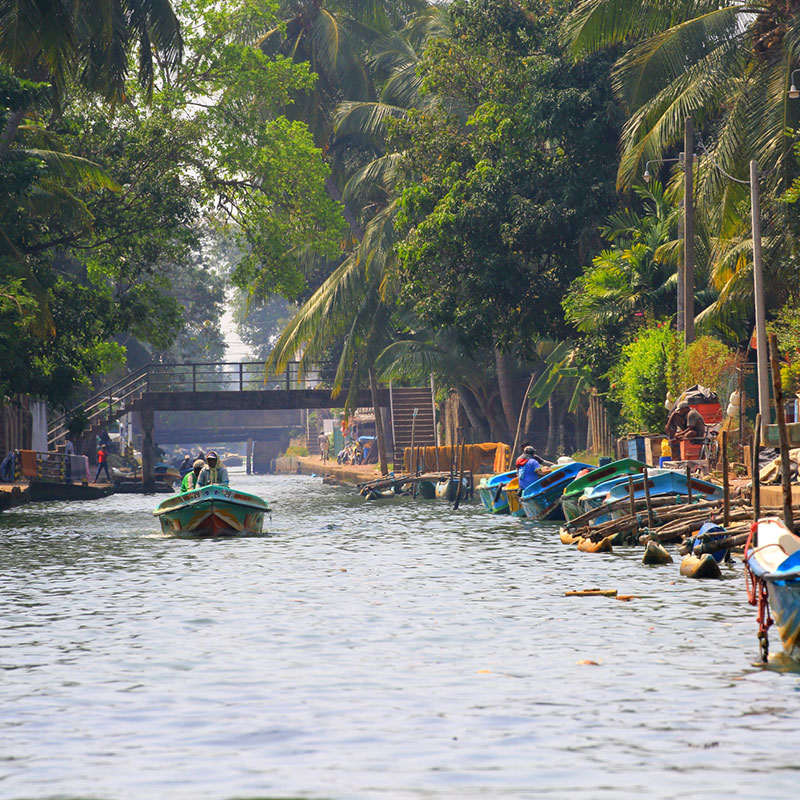 Negombo Lagoon Boat Tour, Sri lanka Boat tours, Negombo lagoon boat tours in Sri Lanka, River cruises in Negombo Sri Lanka, River activities in Negombo, Morning Lagoon Boat Tour