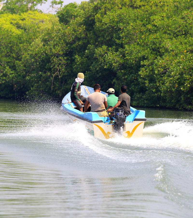 Negombo Lagoon Boat Tour, Sri lanka Boat tours, Negombo lagoon boat tours in Sri Lanka, River cruises in Negombo Sri Lanka, River activities in Negombo, Morning Lagoon Boat Tour