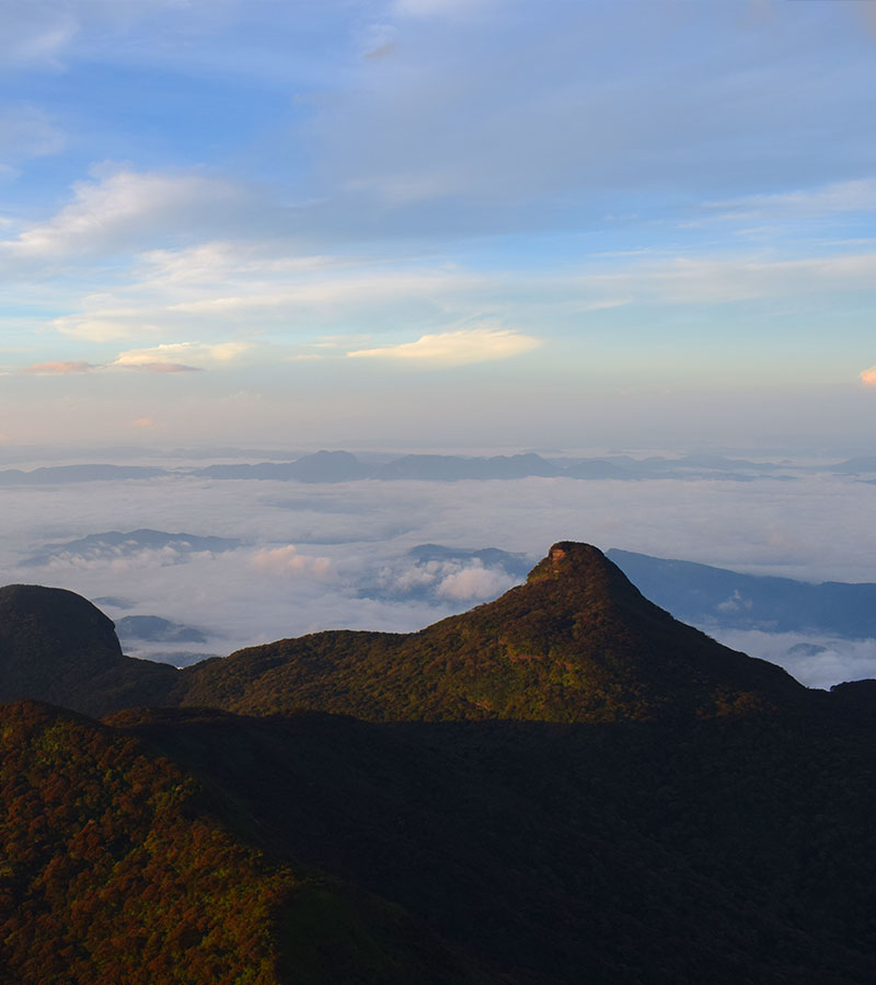Adam's Peak Tours - Sri Lanka Adam's Peak Tours - Tours to Adam's Peak in Sri Lanka - Trips to Adam's Peak - Hiking Adam's Peak - Adam's Peak, Sri Lanka
