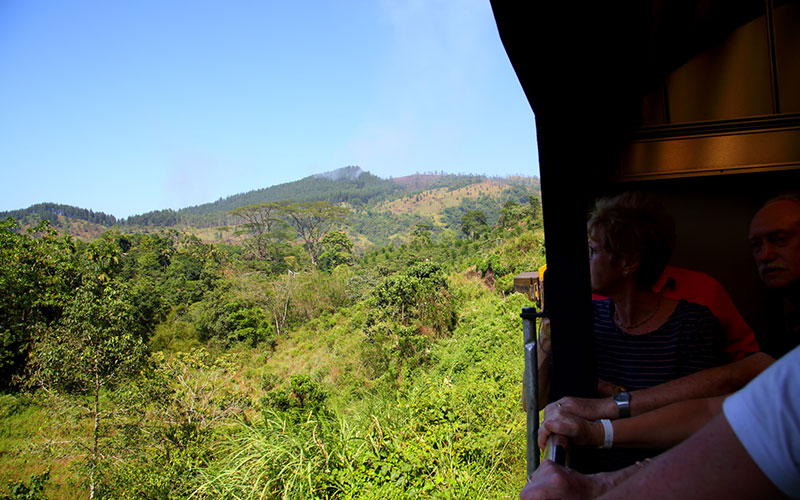 Scenic Train Journeys in Sri Lanka - Kandy Ella Train Tours in Sri Lanka - Scenic and popular train rides in Sri Lanka - Ella train Trip - Train Trips in Sri Lanka - Train Tours in Ella - Ella, Sri Lanka - Train journeys in ella