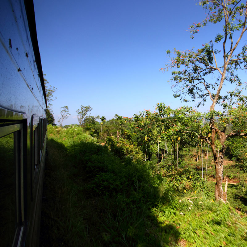 Scenic Train Journeys in Sri Lanka - Kandy Ella Train Tours in Sri Lanka - Scenic and popular train rides in Sri Lanka - Ella train Trip - Train Trips in Sri Lanka - Train Tours in Ella - Ella, Sri Lanka - Train journeys in ella