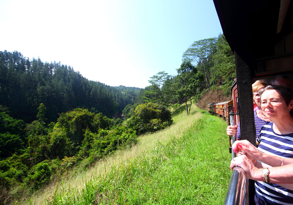 Scenic Train Journeys in Sri Lanka - Kandy Ella Train Tours in Sri Lanka - Scenic and popular train rides in Sri Lanka - Ella train Trip - Train Trips in Sri Lanka - Train Tours in Ella - Ella, Sri Lanka - Train journeys in ella