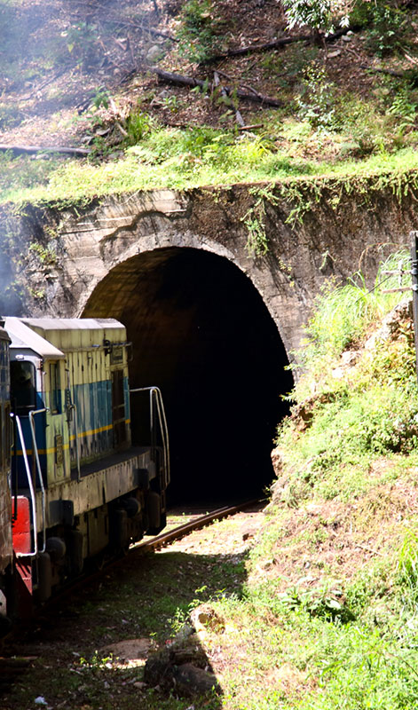 Scenic Train Journeys in Sri Lanka - Kandy Ella Train Tours in Sri Lanka - Scenic and popular train rides in Sri Lanka - Ella train Trip - Train Trips in Sri Lanka - Train Tours in Ella - Ella, Sri Lanka - Train journeys in ella