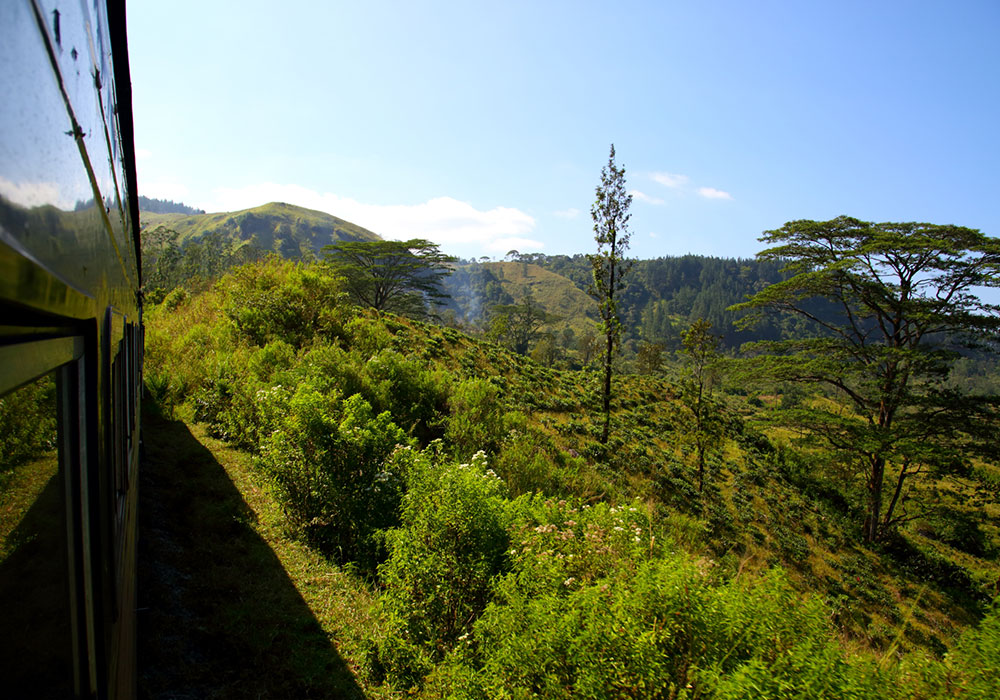Scenic Train Journeys in Sri Lanka - Kandy Ella Train Tours in Sri Lanka - Scenic and popular train rides in Sri Lanka - Ella train Trip - Train Trips in Sri Lanka - Train Tours in Ella - Ella, Sri Lanka - Train journeys in ella