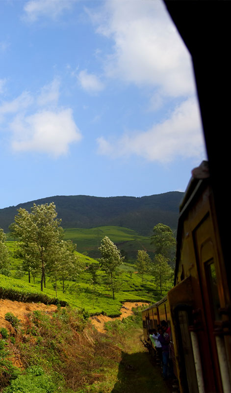 Scenic Train Journeys in Sri Lanka - Kandy Ella Train Tours in Sri Lanka - Scenic and popular train rides in Sri Lanka - Ella train Trip - Train Trips in Sri Lanka - Train Tours in Ella - Ella, Sri Lanka - Train journeys in ella