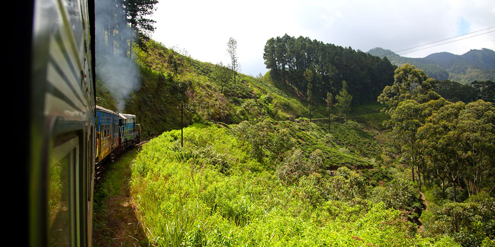 Scenic Train Journeys in Sri Lanka - Kandy Ella Train Tours in Sri Lanka - Scenic and popular train rides in Sri Lanka - Ella train Trip - Train Trips in Sri Lanka - Train Tours in Ella - Ella, Sri Lanka - Train journeys in ella