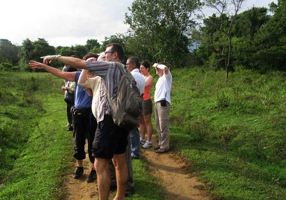 Villages Trekking in sri lanka, Sri lanka village walk, rural village walk with locals in sri lanka,sri lanka village walk with locals, Village walk in kandy, Kandyan Country Walk in Sri Lanka, Kandy Tours in Sri Lanka, Sri Lanka Experiences, Kandyan Country Walk with Traditional Breakfast in Sri Lanka, Kandyan Culture Walk with a Villager in the Morning