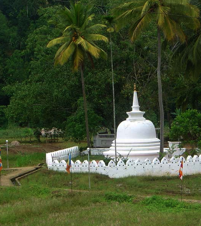 Villages Trekking in sri lanka, Sri lanka village walk, rural village walk with locals in sri lanka,sri lanka village walk with locals, Village walk in kandy, Kandyan Country Walk in Sri Lanka, Kandy Tours in Sri Lanka, Sri Lanka Experiences, Kandyan Country Walk with Traditional Breakfast in Sri Lanka, Kandyan Culture Walk with a Villager in the Morning
