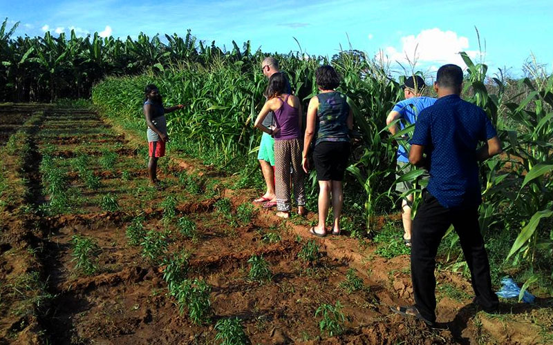 Rural Farm Stay and Wildlife experience in Sri Lanka - Rural Farm Stay in Sri Lanka -  Sri Lanka Experiences - Wildlife experience Sri Lanka - Stay in A Farm Stay - Authentic Experiences in Sri Lanka - Rural Village Experience in Sri Lanka - Wildlife Holidays - Elephant Watching - Sri Lankan Elephants