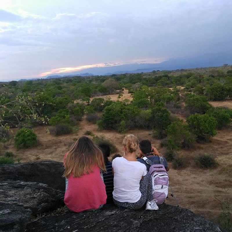 Rural Farm Stay and Wildlife experience in Sri Lanka - Rural Farm Stay in Sri Lanka -  Sri Lanka Experiences - Wildlife experience Sri Lanka - Stay in A Farm Stay - Authentic Experiences in Sri Lanka - Rural Village Experience in Sri Lanka - Wildlife Holidays - Elephant Watching - Sri Lankan Elephants