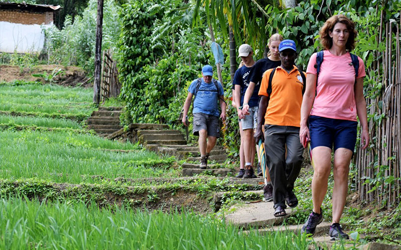 Rural Village Walk in Kandy - Kandy Village Walk in Sri Lanka - Heel Oya Rural Village Walk - Authentic Village Walks in Kandy, Sri Lanka - Walking Experince - Village Trekking in Sri Lanka