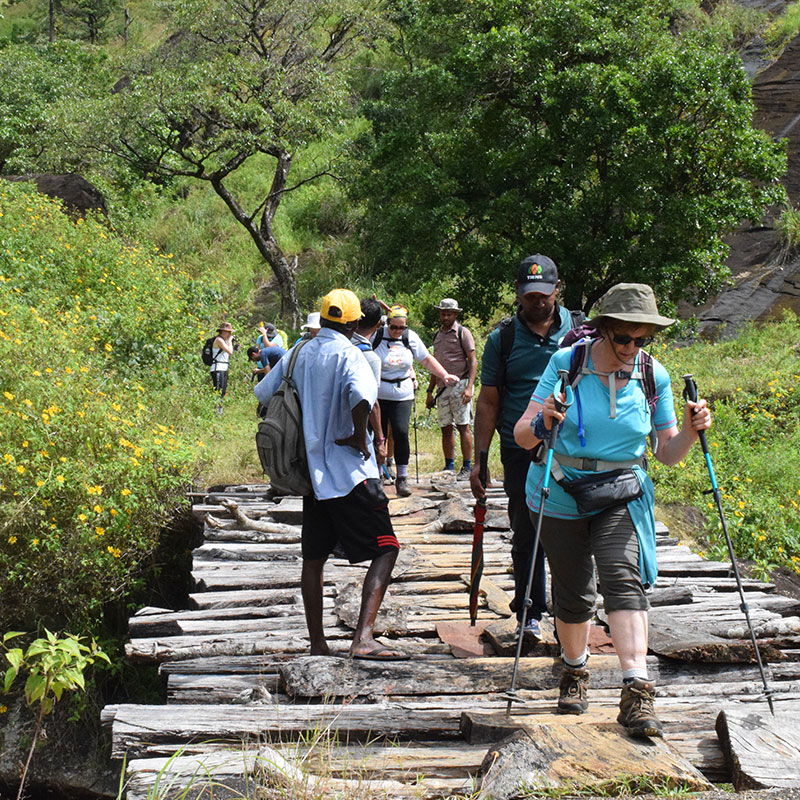 Rural Village Walk in Kandy - Kandy Village Walk in Sri Lanka - Heel Oya Rural Village Walk - Authentic Village Walks in Kandy, Sri Lanka - Walking Experince - Village Trekking in Sri Lanka