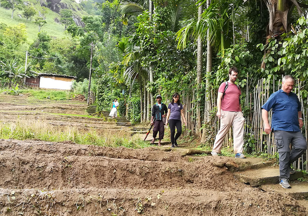 Rural Village Walk in Kandy - Kandy Village Walk in Sri Lanka - Heel Oya Rural Village Walk - Authentic Village Walks in Kandy, Sri Lanka - Walking Experince - Village Trekking in Sri Lanka