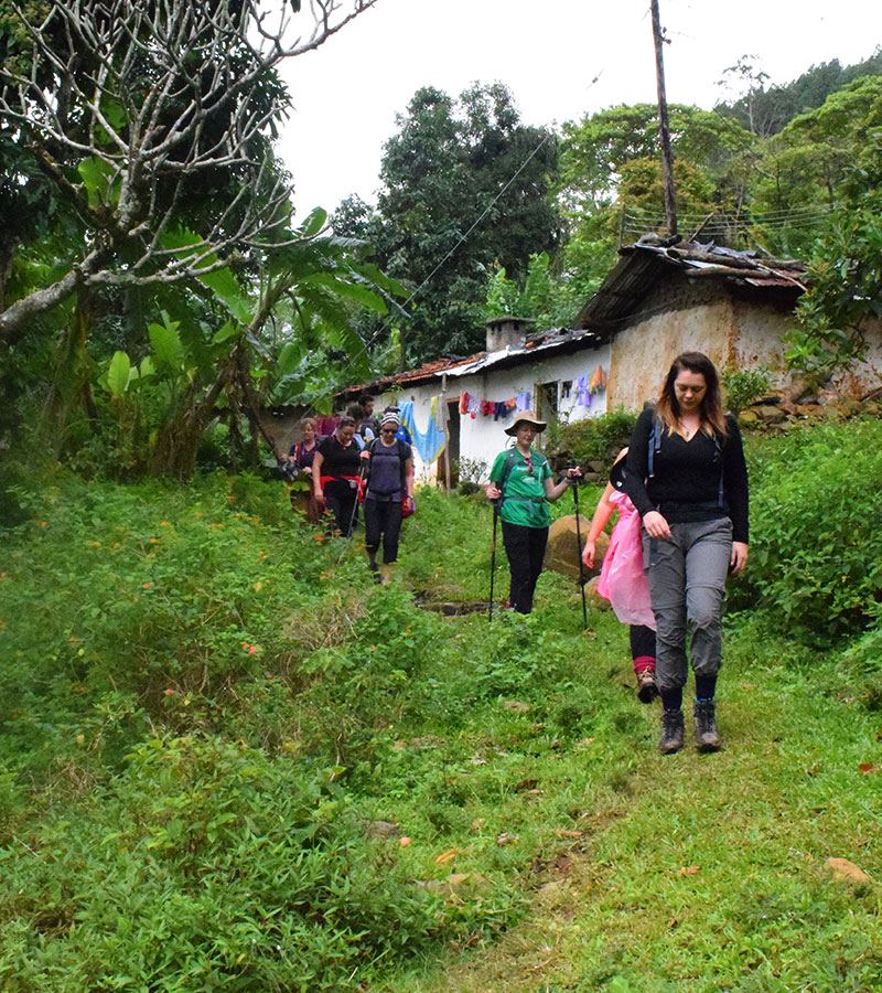 Rural Village Walk in Kandy - Kandy Village Walk in Sri Lanka - Heel Oya Rural Village Walk - Authentic Village Walks in Kandy, Sri Lanka - Walking Experince - Village Trekking in Sri Lanka