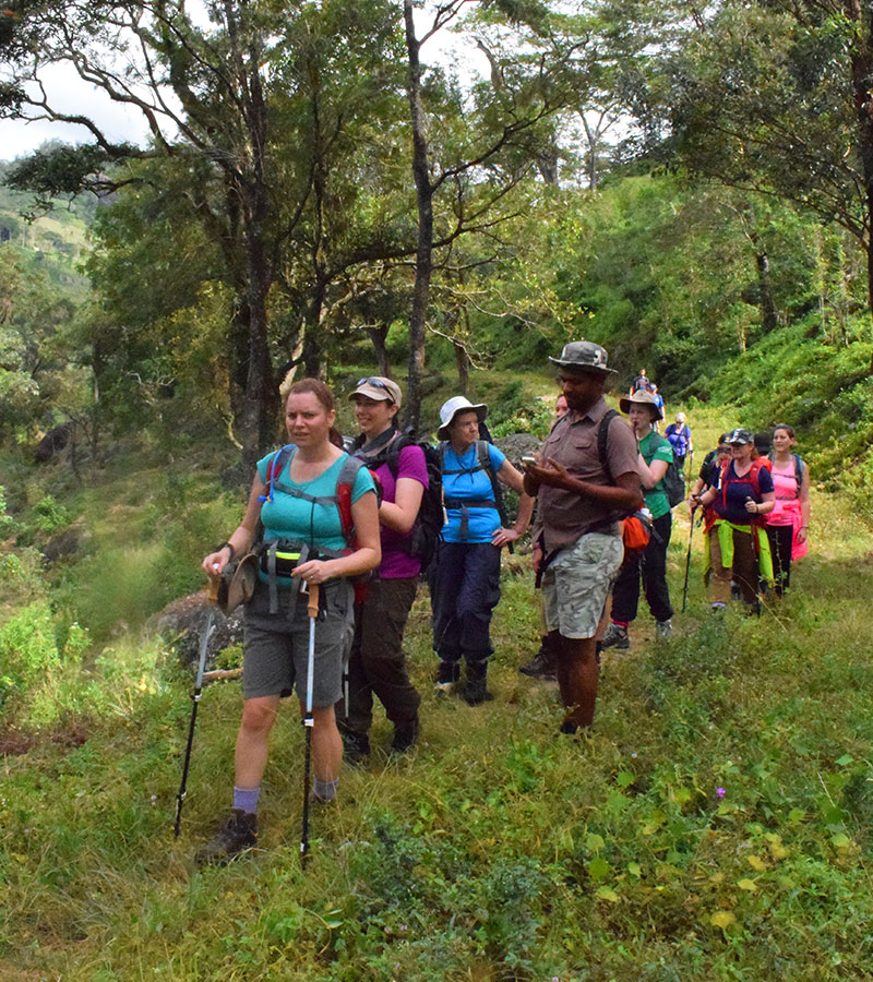 Rural Village Walk in Kandy - Kandy Village Walk in Sri Lanka - Heel Oya Rural Village Walk - Authentic Village Walks in Kandy, Sri Lanka - Walking Experince - Village Trekking in Sri Lanka