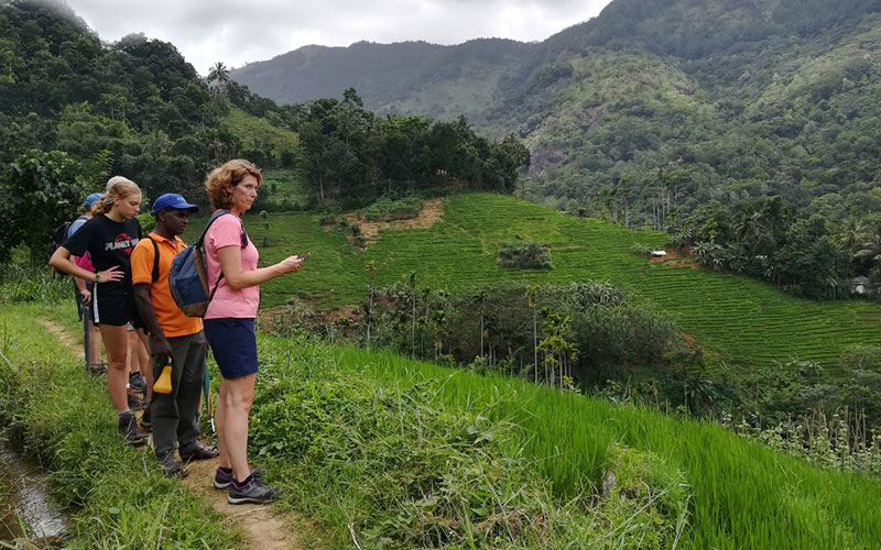 Rural Village Walk in Kandy - Kandy Village Walk in Sri Lanka - Heel Oya Rural Village Walk - Authentic Village Walks in Kandy, Sri Lanka - Walking Experince - Village Trekking in Sri Lanka
