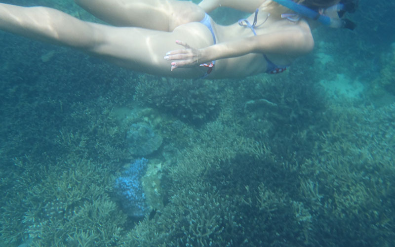 Snorkeling Tours in Sri Lanka - Snorkeling Trips in Hikkaduwa, Sri Lanka - Diving & Snorkeling tours in Sri Lanka - Hikkaduwa Snorkeling Tours - Diving in Sri Lanka - best place to snorkel in hikkaduwa - Snorkeling at Hikkaduwa