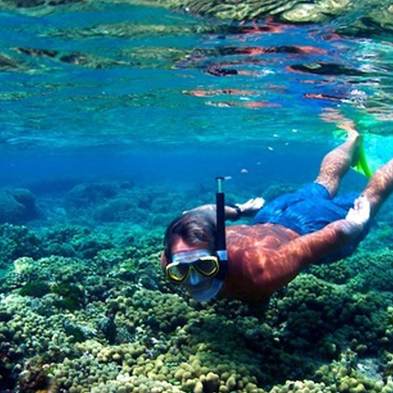 Snorkeling Tours in Sri Lanka - Snorkeling Trips in Hikkaduwa, Sri Lanka - Diving & Snorkeling tours in Sri Lanka - Hikkaduwa Snorkeling Tours - Diving in Sri Lanka - best place to snorkel in hikkaduwa - Snorkeling at Hikkaduwa