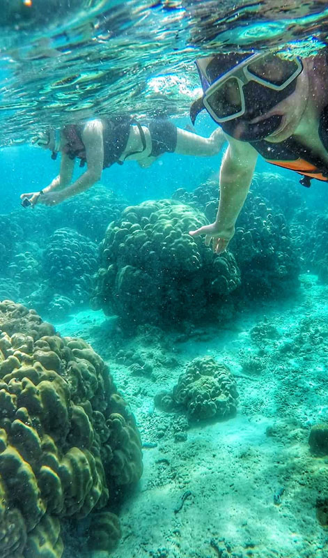 Snorkeling Tours in Sri Lanka - Snorkeling Trips in Hikkaduwa, Sri Lanka - Diving & Snorkeling tours in Sri Lanka - Hikkaduwa Snorkeling Tours - Diving in Sri Lanka - best place to snorkel in hikkaduwa - Snorkeling at Hikkaduwa