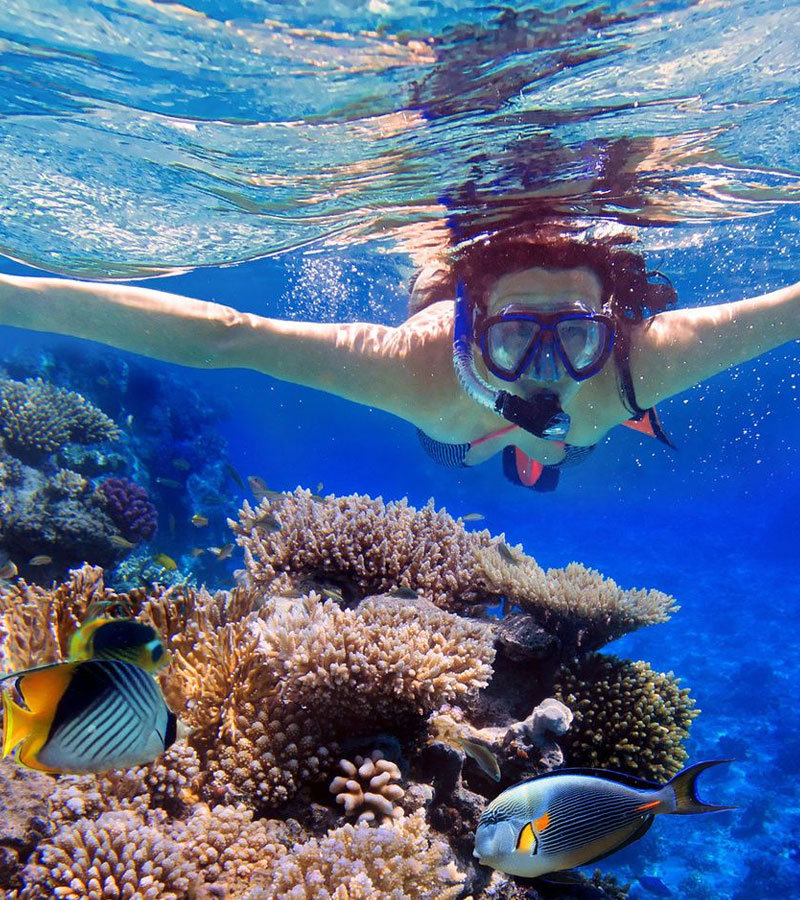 Snorkeling Tours in Sri Lanka - Snorkeling Trips in Hikkaduwa, Sri Lanka - Diving & Snorkeling tours in Sri Lanka - Hikkaduwa Snorkeling Tours - Diving in Sri Lanka - best place to snorkel in hikkaduwa - Snorkeling at Hikkaduwa