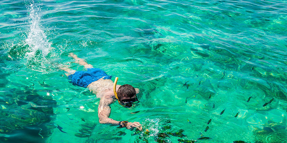 Snorkeling Tours in Sri Lanka - Snorkeling Trips in Hikkaduwa, Sri Lanka - Diving & Snorkeling tours in Sri Lanka - Hikkaduwa Snorkeling Tours - Diving in Sri Lanka - best place to snorkel in hikkaduwa - Snorkeling at Hikkaduwa