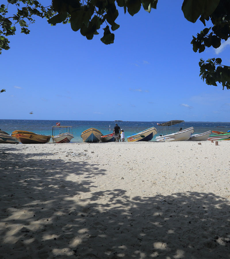 Snorkeling in Sri Lanka - Pigeon Isalnd Snorkeling - Snorkeling in Trincomalee - Diving & Snorkeling in Sri Lanka - Snorkeling Tours in Sri Lanka