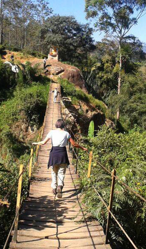 Trekking in Haputale - Tea Estate walking in Haputale - Tea Estate Bungalows & Villas in Haputale - Tea Estate Tours in Haputale - Tea Estate in Sri Lanka - Trekking trips in Sri Lanka - Sri Lanka Trekking & Hiking