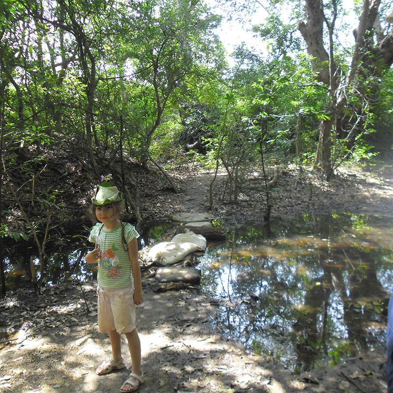 Rural Village Walk in Kandy, Sri Lanka with Kids, Kandy Village Walk in Sri Lanka, Heel Oya Rural Village Walk, Trekking Tours in Kandy Sri Lanka with Kids, Kandy