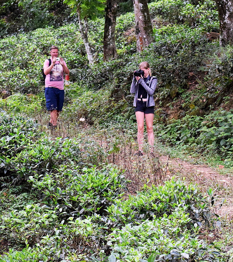Rural Village Walk in Kandy, Sri Lanka with Kids, Kandy Village Walk in Sri Lanka, Heel Oya Rural Village Walk, Trekking Tours in Kandy Sri Lanka with Kids, Kandy