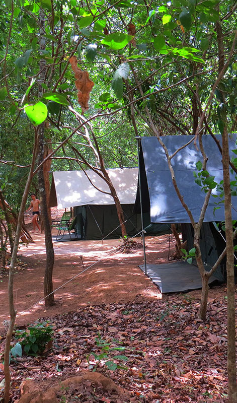 Tented Safari Camping in Udawalawe National Park - Safari Camping in Udawalawe with Kids - Udawalawe Safari Camping  - Safari camping with Big Game - Safari Camps - Camping Experience in Sri Lanka with Kids