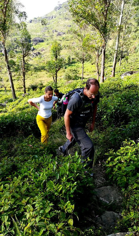 Trekking tours in Knuckles Mountains - Kncukles Trekking Trips - Knuckles Mountains Trekking Tours - Trekking Trips in Knuckles - Knuckles trekking tours - Sri Lanka Trekking Trips - Trekking Trips in Sri Lanka