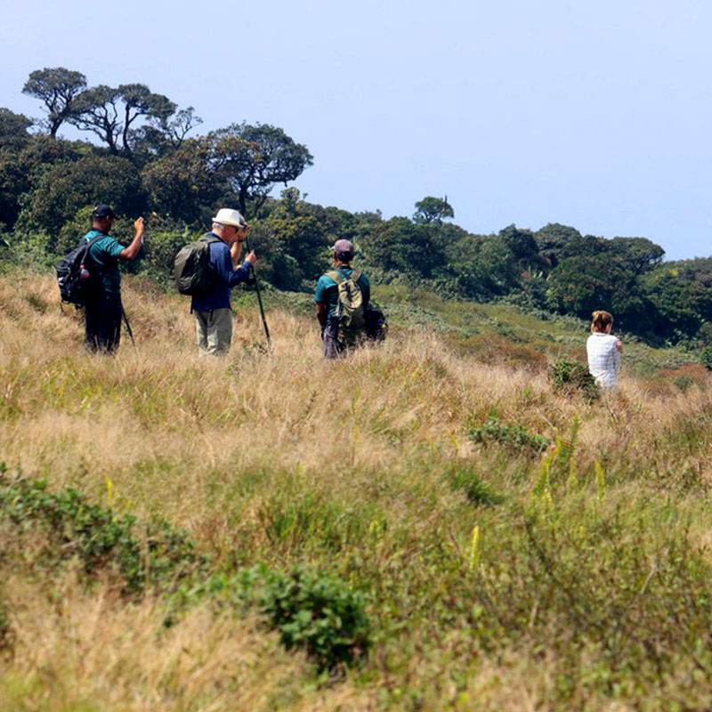 Trekking tours in Knuckles Mountains - Kncukles Trekking Trips - Knuckles Mountains Trekking Tours - Trekking Trips in Knuckles - Knuckles trekking tours - Sri Lanka Trekking Trips - Trekking Trips in Sri Lanka