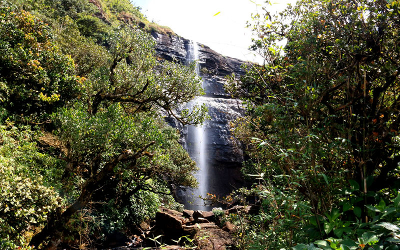 Trekking tours in Knuckles Mountains - Kncukles Trekking Trips - Knuckles Mountains Trekking Tours - Trekking Trips in Knuckles - Knuckles trekking tours - Sri Lanka Trekking Trips - Trekking Trips in Sri Lanka