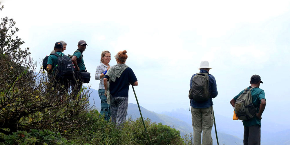Trekking tours in Knuckles Mountains - Kncukles Trekking Trips - Knuckles Mountains Trekking Tours - Trekking Trips in Knuckles - Knuckles trekking tours - Sri Lanka Trekking Trips - Trekking Trips in Sri Lanka