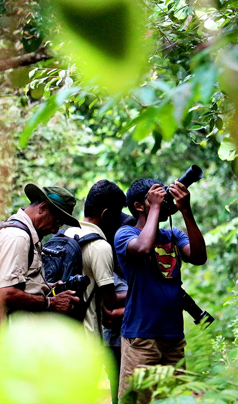Sinharaja Rain Forest Trekking Trips - Trekking and Hiking in Sinharaja Rain Forest - Sinharaja Rain Forest Tours - Sinharaja trekking Trips - Trekking Trips