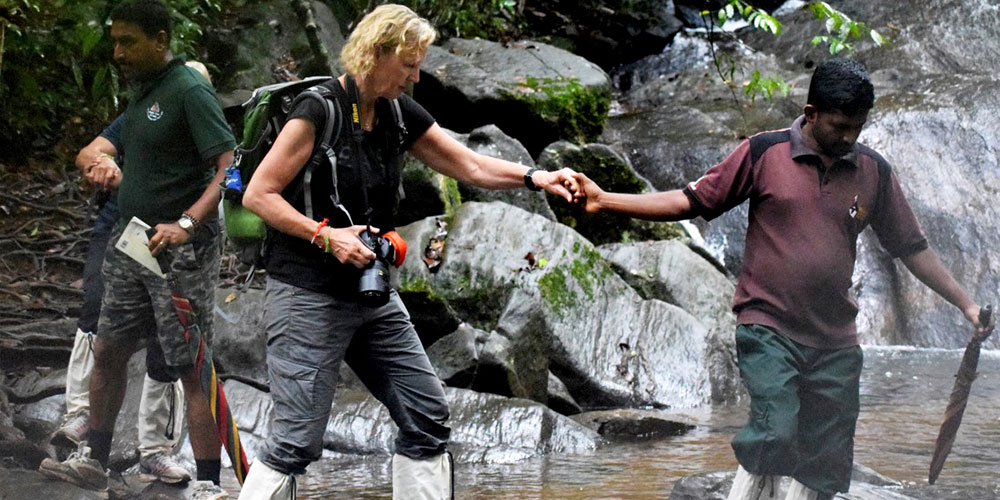 Sinharaja Rain Forest Trekking Trips - Trekking and Hiking in Sinharaja Rain Forest - Sinharaja Rain Forest Tours - Sinharaja trekking Trips - Trekking Trips