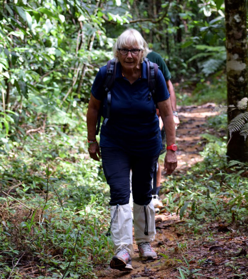 Sinharaja Rain Forest Trekking Trips - Trekking and Hiking in Sinharaja Rain Forest - Sinharaja Rain Forest Tours - Sinharaja trekking Trips - Trekking Trips