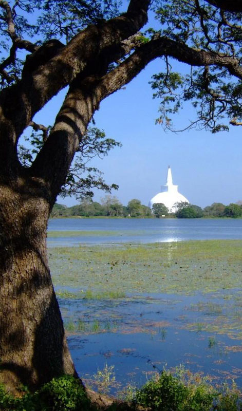 Anuradhapura Tours - Tours in Anuradhapura Sacred city - Tours in Anuradhapura  Sri Lanka - Visit Anuradhapura Sacred city - Sacred City in Anuradhapura - Ruins in Anuradhapura