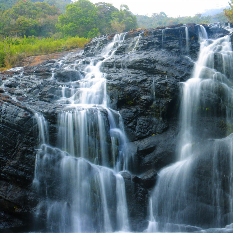 Trekking tours in Horton Plains National Park - Horton Plains Trekking Trips - Horton Plains National Park Trekking Tours - Trekking trips in Horton plains - Horton Plains Trekking Tours - Trekking trips in Sri Lanka