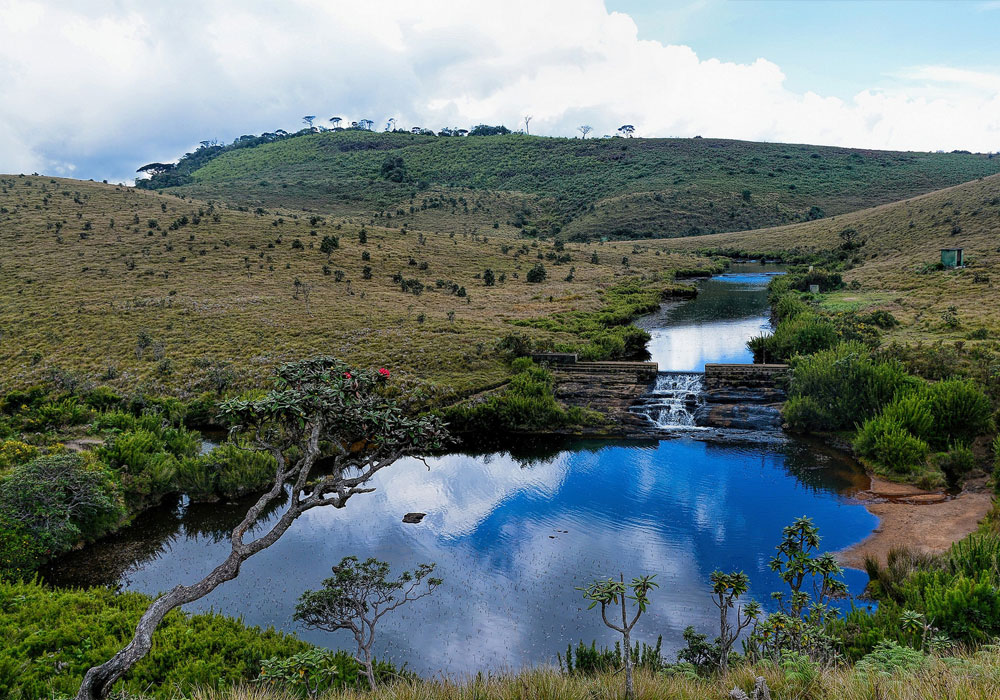 Trekking tours in Horton Plains National Park - Horton Plains Trekking Trips - Horton Plains National Park Trekking Tours - Trekking trips in Horton plains - Horton Plains Trekking Tours - Trekking trips in Sri Lanka