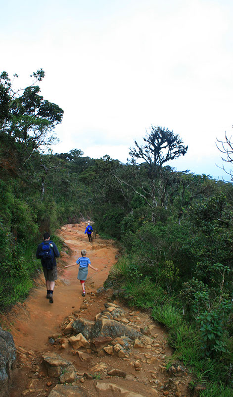 Trekking tours in Horton Plains National Park - Horton Plains Trekking Trips - Horton Plains National Park Trekking Tours - Trekking trips in Horton plains - Horton Plains Trekking Tours - Trekking trips in Sri Lanka