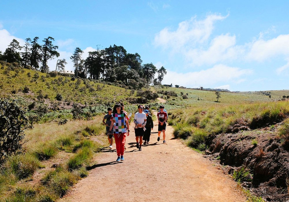 Trekking tours in Horton Plains National Park - Horton Plains Trekking Trips - Horton Plains National Park Trekking Tours - Trekking trips in Horton plains - Horton Plains Trekking Tours - Trekking trips in Sri Lanka