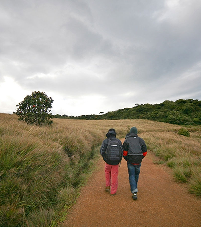 Trekking tours in Horton Plains National Park - Horton Plains Trekking Trips - Horton Plains National Park Trekking Tours - Trekking trips in Horton plains - Horton Plains Trekking Tours - Trekking trips in Sri Lanka