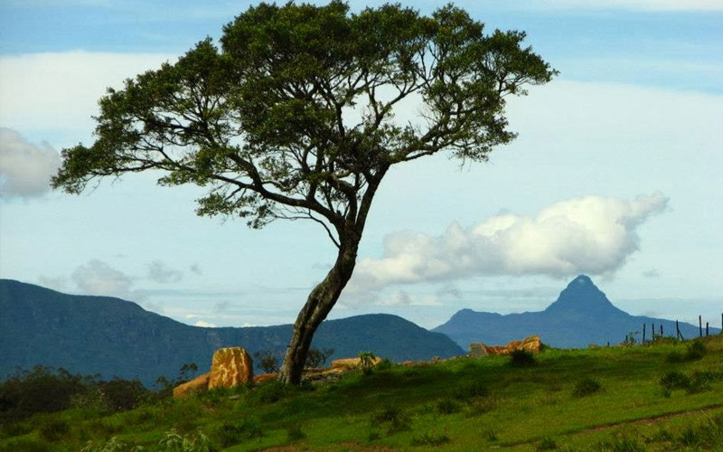 Trekking tours in Horton Plains National Park - Horton Plains Trekking Trips - Horton Plains National Park Trekking Tours - Trekking trips in Horton plains - Horton Plains Trekking Tours - Trekking trips in Sri Lanka
