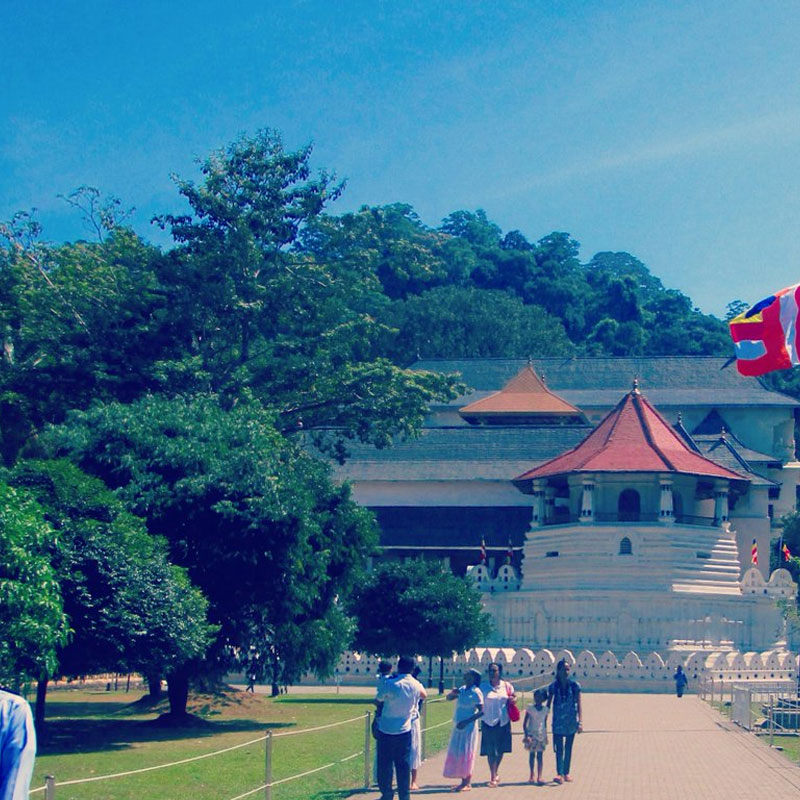 Kandy Tours - Tours in Kandy sacred city - Tours in Kandy  Sri Lanka - Kandy, Sri Lanka - Sri Lanka - Kandy Tours - Kandy Sacred City Visit, Kandyan Cultural Show, Temple of the tooth relic visit