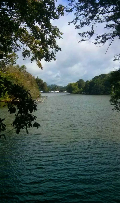 Kandy Tours - Tours in Kandy sacred city - Tours in Kandy  Sri Lanka - Kandy, Sri Lanka - Sri Lanka - Kandy Tours - Kandy Sacred City Visit, Kandyan Cultural Show, Temple of the tooth relic visit