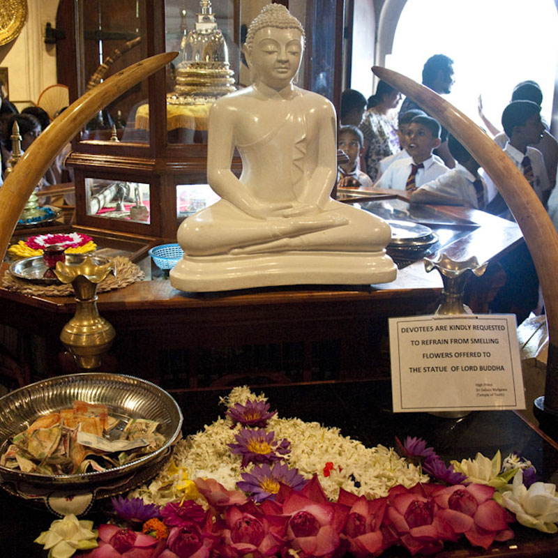 Kandy Tours - Tours in Kandy sacred city - Tours in Kandy  Sri Lanka - Kandy, Sri Lanka - Sri Lanka - Kandy Tours - Kandy Sacred City Visit, Kandyan Cultural Show, Temple of the tooth relic visit
