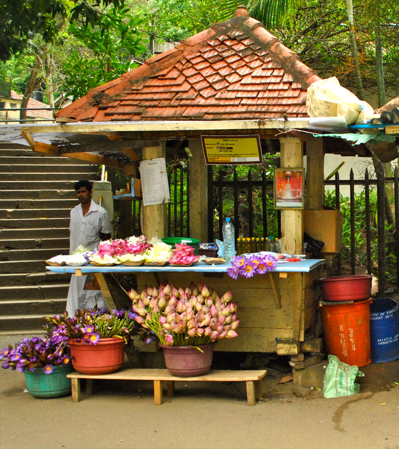Kandy Tours - Tours in Kandy sacred city - Tours in Kandy  Sri Lanka - Kandy, Sri Lanka - Sri Lanka - Kandy Tours - Kandy Sacred City Visit, Kandyan Cultural Show, Temple of the tooth relic visit