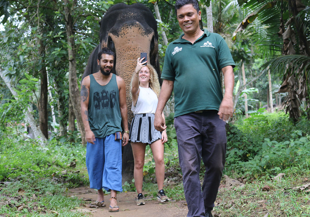 Walk with an Elephant - Pinnawala Elephant Walks - Pinnawala Elephant Orphanage - Elephant Walk Experience - Visting Pinnawala Elephant Orphanage