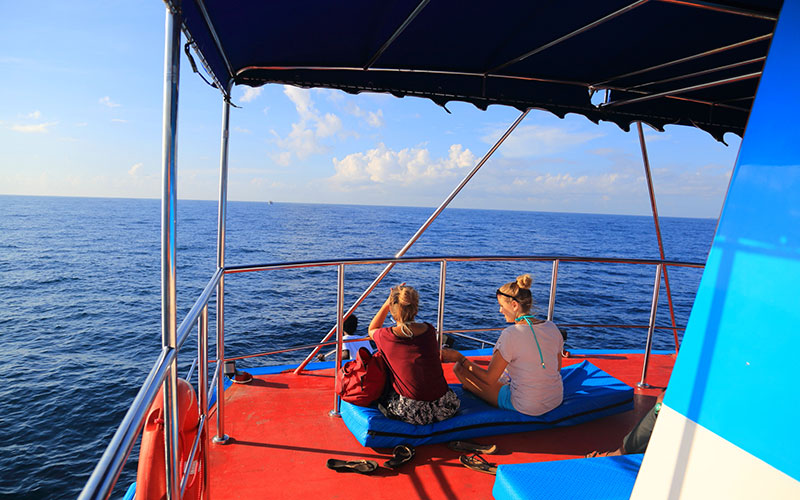Mirissa Whale Watching - Mirissa Whale Watching Tours - Whale and Dolphin Watching Boat Tours in Mirissa - Whale Watching Mirissa - Mirissa Whale watching Trips in Sri Lanka - Dolphin Watching trips in Mirissa - Trips in Whale Watching